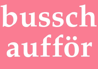 Synonym busschaufför
