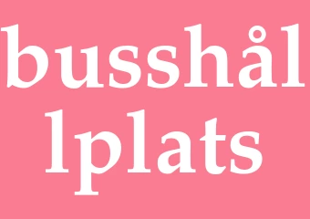 Synonym busshållplats