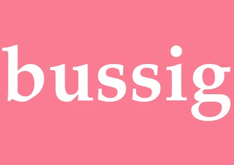 Synonym bussig