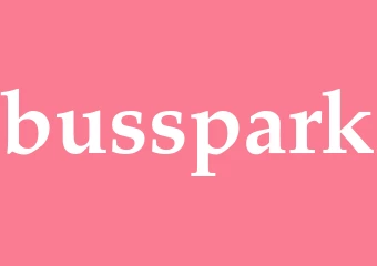 Synonym busspark