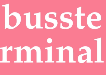 Synonym bussterminal