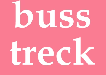 Synonym busstreck