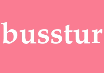 Synonym busstur
