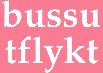 Synonym bussutflykt