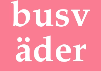 Synonym busväder