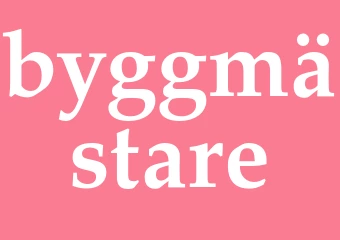 Synonym byggmästare