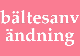Synonym bältesanvändning