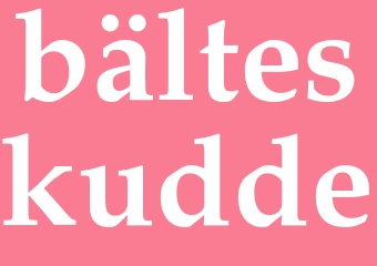 Synonym bälteskudde