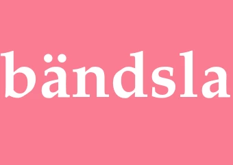 Synonym bändsla