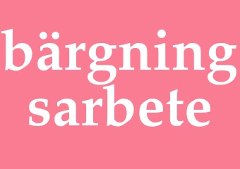 Synonym bärgningsarbete