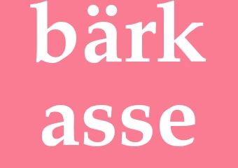 Synonym bärkasse