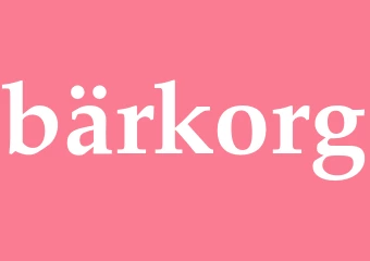 Synonym bärkorg