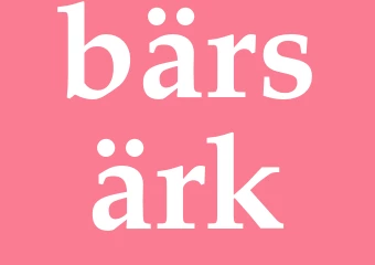 Synonym bärsärk