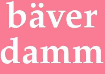 Synonym bäverdamm