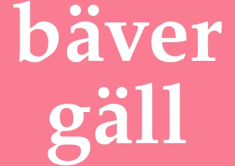 Synonym bävergäll