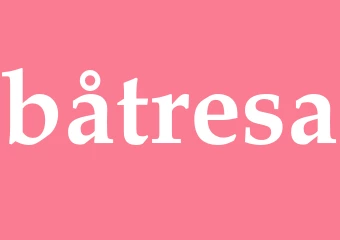 Synonym båtresa