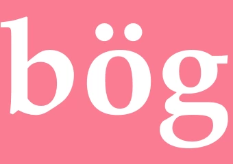 Synonym bög
