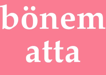 Synonym bönematta
