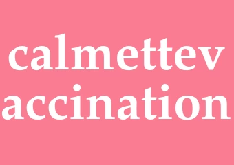 Synonym calmettevaccination