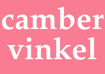 Synonym cambervinkel