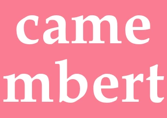 Synonym camembert