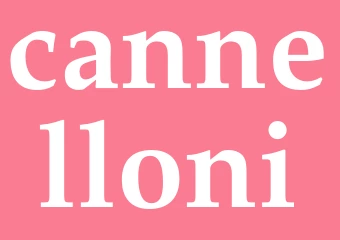 Synonym cannelloni