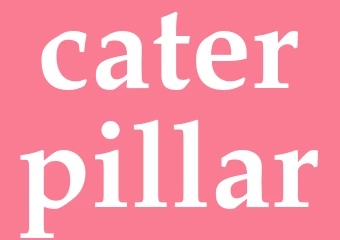 Synonym caterpillar