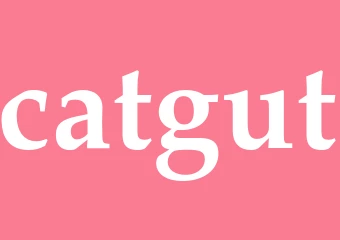 Synonym catgut