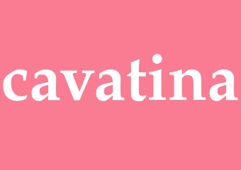 Synonym cavatina