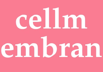 Synonym cellmembran