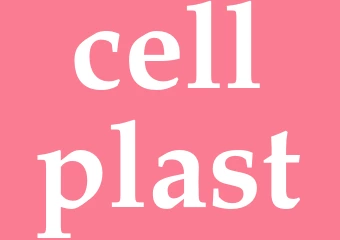 Synonym cellplast