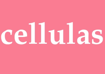 Synonym cellulas