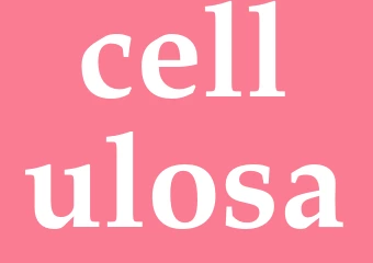 Synonym cellulosa