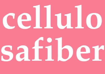 Synonym cellulosafiber