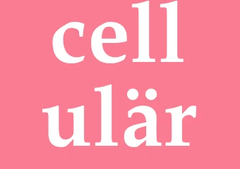 Synonym cellulär