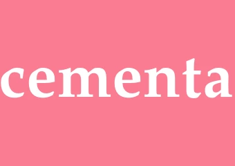 Synonym cementa