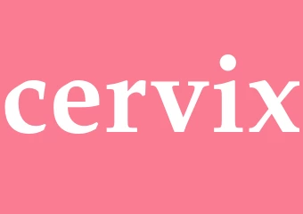 Synonym cervix