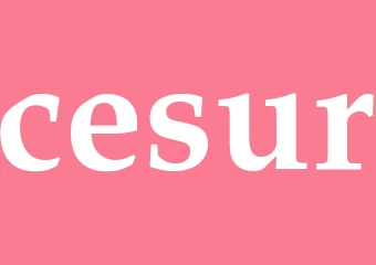 Synonym cesur