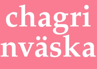 Synonym chagrinväska