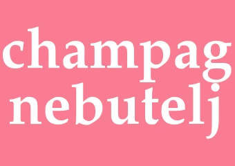Synonym champagnebutelj
