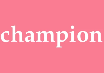 Synonym champion