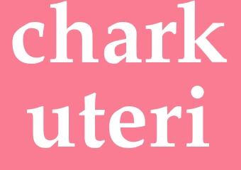 Synonym charkuteri