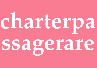 Synonym charterpassagerare