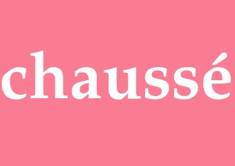 Synonym chaussé
