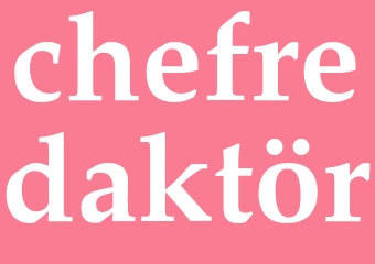 Synonym chefredaktör