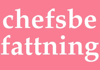 Synonym chefsbefattning