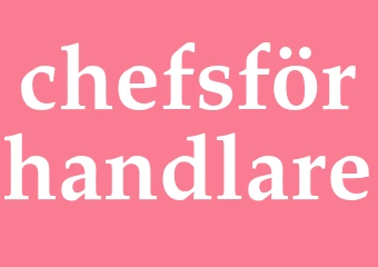 Synonym chefsförhandlare