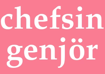 Synonym chefsingenjör