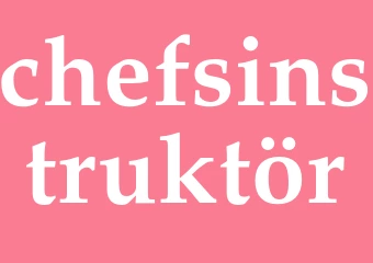 Synonym chefsinstruktör