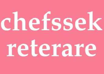 Synonym chefssekreterare